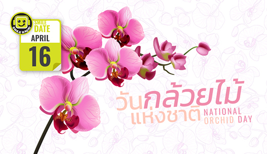 Smile Date: วันกล้วยไม้แห่งชาติ (National Orchid Day)